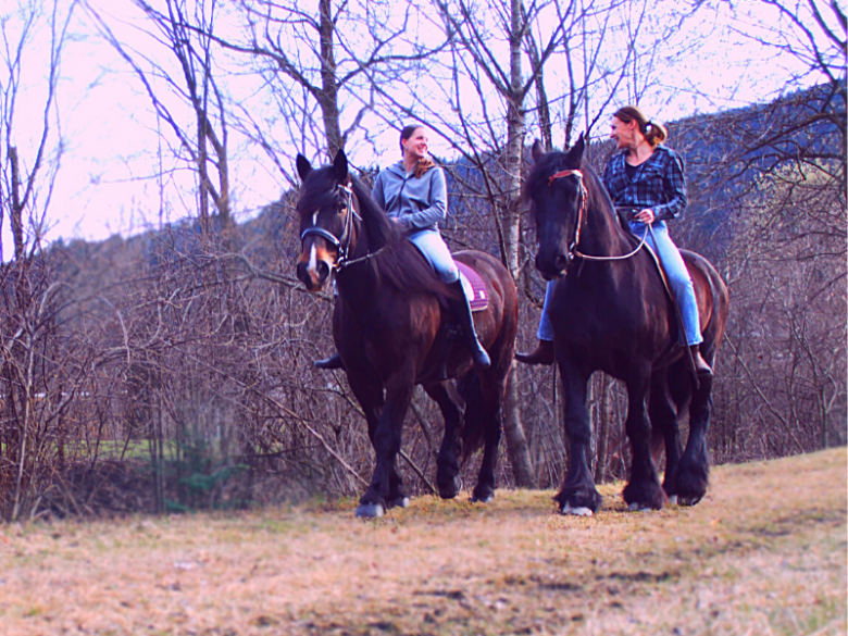 Reiter mit Garrido Reitkissen auf Pferd 