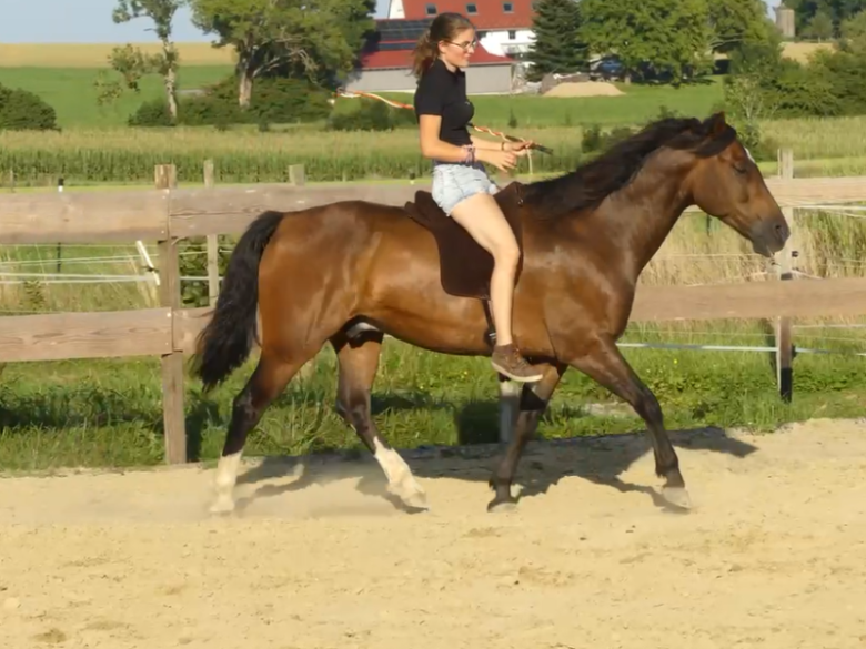 Sitzschulung im Freestyle mit dem Garrido Reitkissen