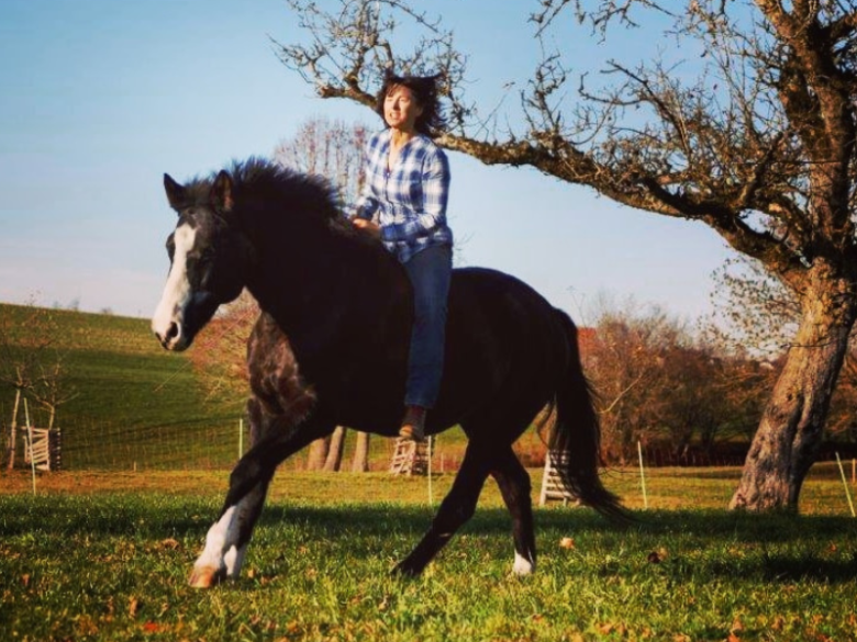 Ursula trainiert seit Jahren Natural Horsemanship