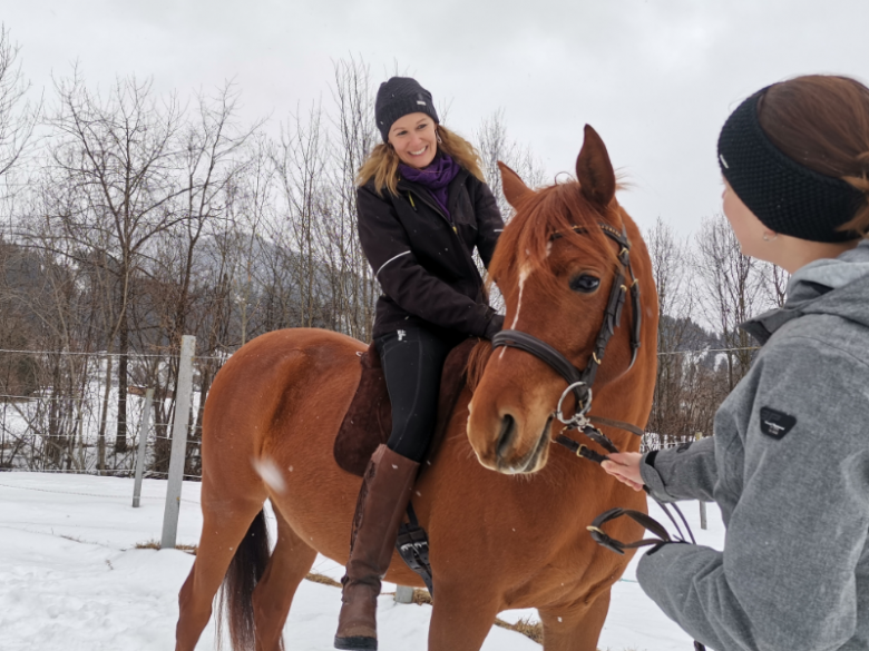 Alternatives Wintertraining macht Pferden Spass